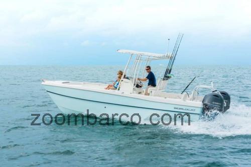 World Cat 230 CC Ficha técnica 